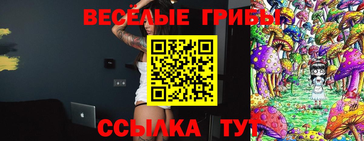 Галлюциногенные грибы прущие грибы  Вход с VPN  Псилоцибиновые грибы Cubensis  Назарово 